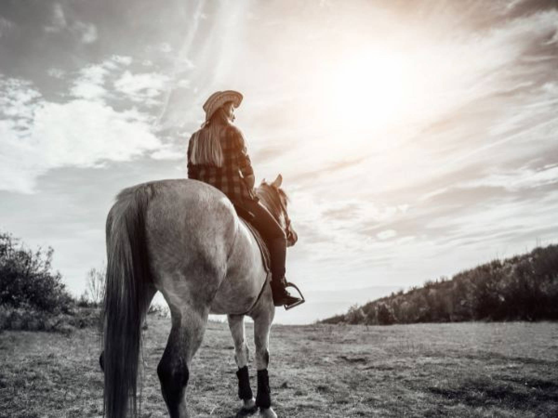 Bryczesy jeździeckie dla kobiet: Przewodnik po stylu